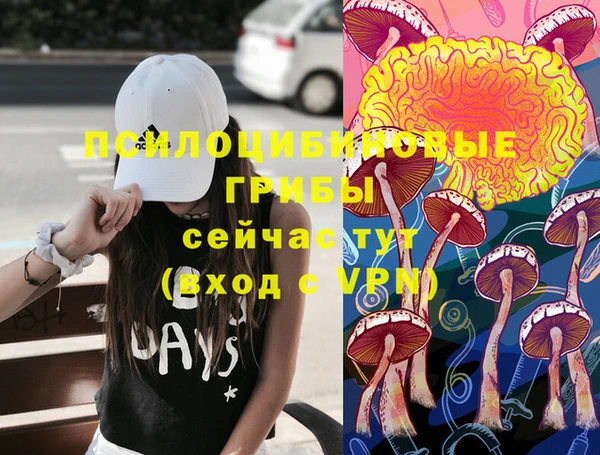 амф Алексин
