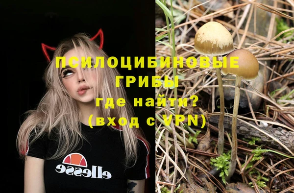 a pvp Алзамай