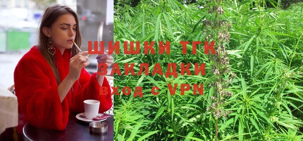 a pvp Алзамай