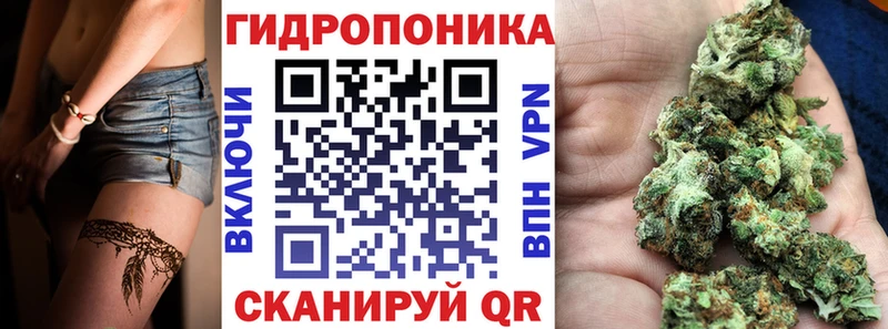 Конопля LSD WEED  наркотики  Куртамыш 
